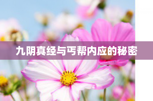 九阴真经与丐帮内应的秘密 九阴真经与丐帮内应的秘密