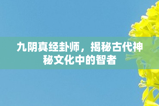 九阴真经卦师,揭秘古代神秘文化中的智者 九阴真经卦师,揭秘古代神秘文化中的智者