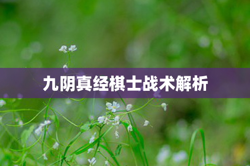 九阴真经棋士战术解析 九阴真经棋士战术解析