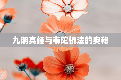 九阴真经与韦陀棍法的奥秘 九阴真经与韦陀棍法的奥秘