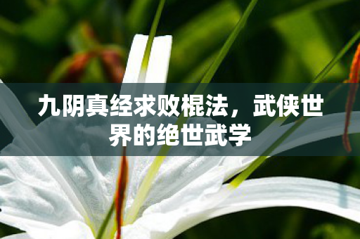 九阴真经求败棍法,武侠世界的绝世武学 九阴真经求败棍法,武侠世界的绝世武学