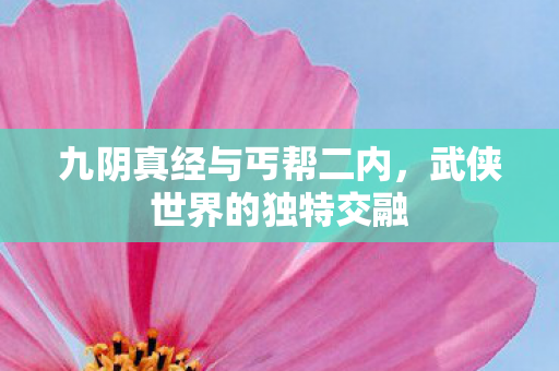 九阴真经与丐帮二内,武侠世界的独特交融 九阴真经与丐帮二内,武侠世界的独特交融
