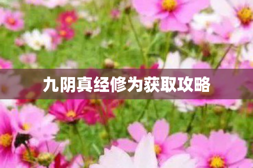 九阴真经修为获取攻略 九阴真经修为获取攻略