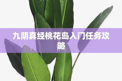 九阴真经桃花岛入门任务攻略 九阴真经桃花岛入门任务攻略
