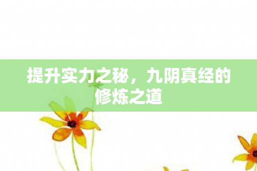 提升实力之秘,九阴真经的修炼之道 提升实力之秘,九阴真经的修炼之道