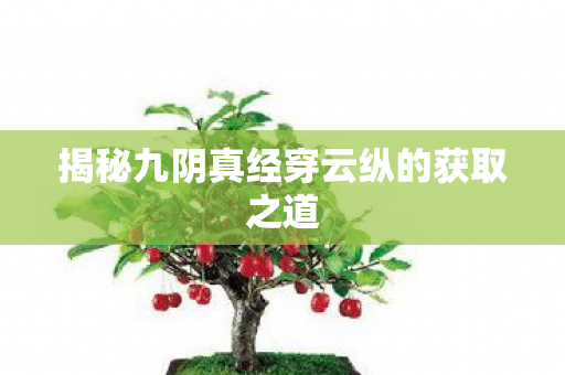 揭秘九阴真经穿云纵的获取之道 揭秘九阴真经穿云纵的获取之道