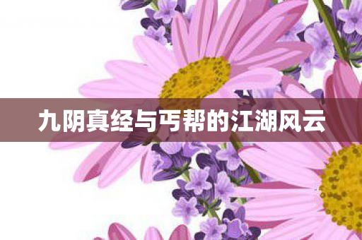 九阴真经与丐帮的江湖风云 九阴真经与丐帮的江湖风云