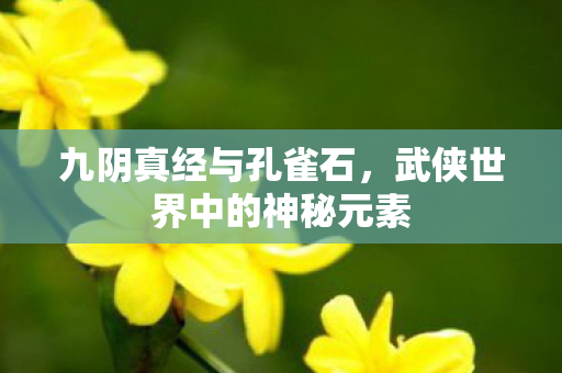 九阴真经与孔雀石,武侠世界中的神秘元素 九阴真经与孔雀石,武侠世界中的神秘元素