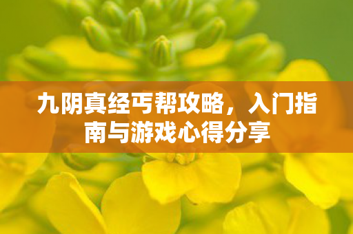 九阴真经丐帮攻略,入门指南与游戏心得分享 九阴真经丐帮攻略,入门指南与游戏心得分享
