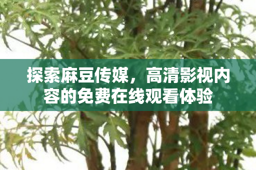 探索麻豆传媒,高清影视内容的免费在线观看体验 探索麻豆传媒,高清影视内容的免费在线观看体验