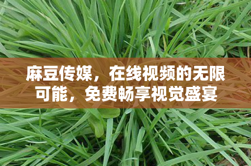 麻豆传媒,在线视频的无限可能,免费畅享视觉盛宴 麻豆传媒,在线视频的无限可能,免费畅享视觉盛宴