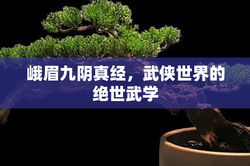 峨眉九阴真经,武侠世界的绝世武学 峨眉九阴真经,武侠世界的绝世武学
