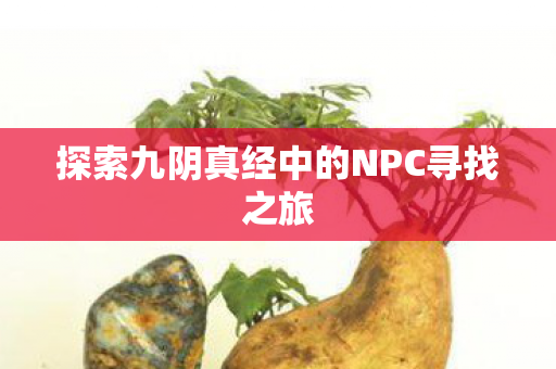探索九阴真经中的NPC寻找之旅 探索九阴真经中的NPC寻找之旅