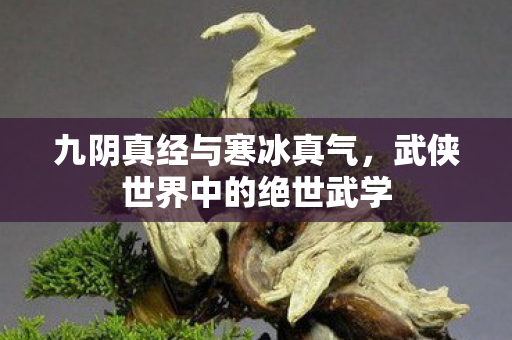 九阴真经与寒冰真气,武侠世界中的绝世武学 九阴真经与寒冰真气,武侠世界中的绝世武学
