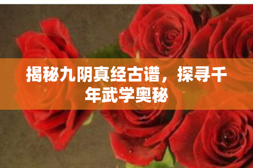 揭秘九阴真经古谱,探寻千年武学奥秘 揭秘九阴真经古谱,探寻千年武学奥秘