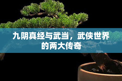 九阴真经与武当,武侠世界的两大传奇 九阴真经与武当,武侠世界的两大传奇