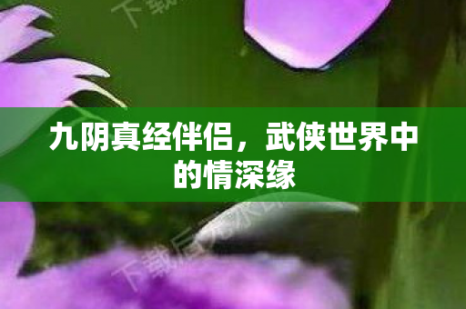 九阴真经伴侣，武侠世界中的情深缘