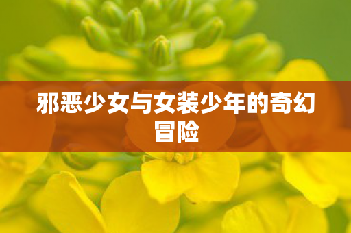 邪恶少女与女装少年的奇幻冒险 邪恶少女与女装少年的奇幻冒险
