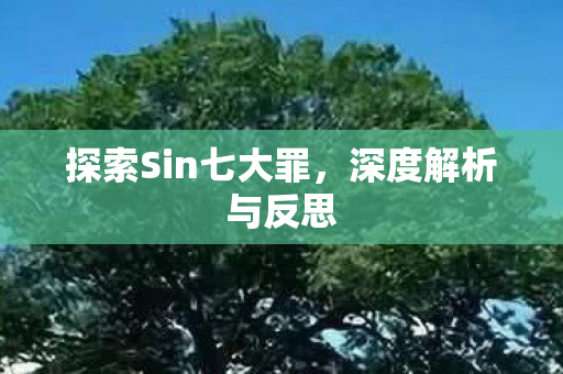 探索Sin七大罪,深度解析与反思 探索Sin七大罪,深度解析与反思