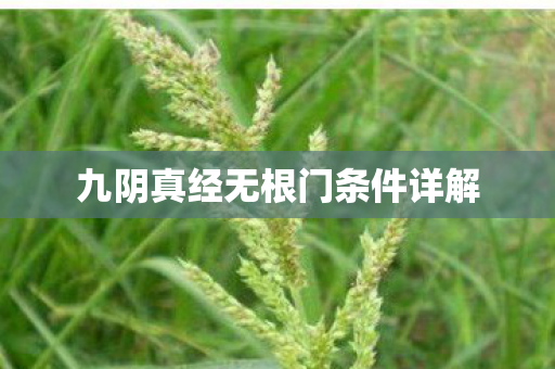 九阴真经无根门条件详解 九阴真经无根门条件详解