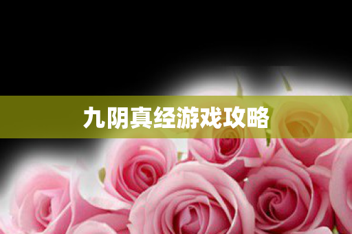 九阴真经游戏攻略