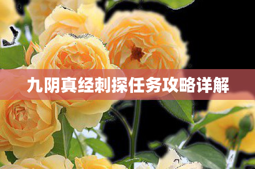 九阴真经刺探任务攻略详解