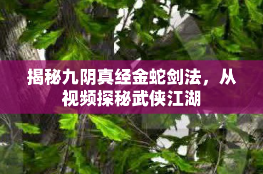 揭秘九阴真经金蛇剑法,从视频探秘武侠江湖 揭秘九阴真经金蛇剑法,从视频探秘武侠江湖