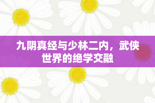 九阴真经与少林二内,武侠世界的绝学交融 九阴真经与少林二内,武侠世界的绝学交融