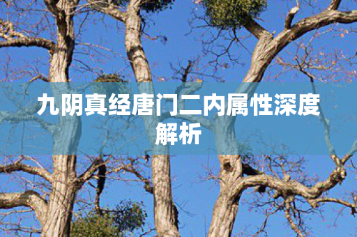 九阴真经唐门二内属性深度解析 九阴真经唐门二内属性深度解析