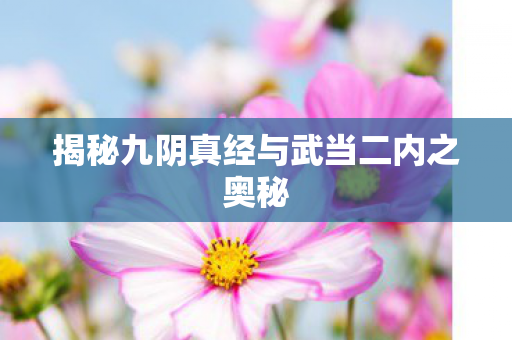 揭秘九阴真经与武当二内之奥秘 揭秘九阴真经与武当二内之奥秘