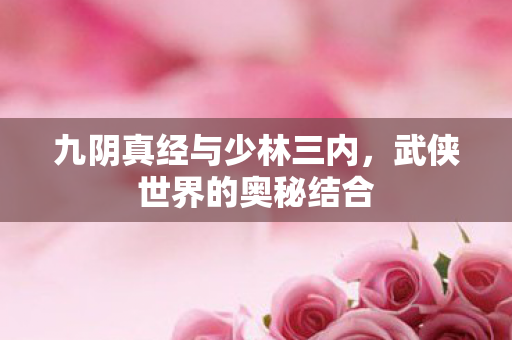 九阴真经与少林三内,武侠世界的奥秘结合 九阴真经与少林三内,武侠世界的奥秘结合