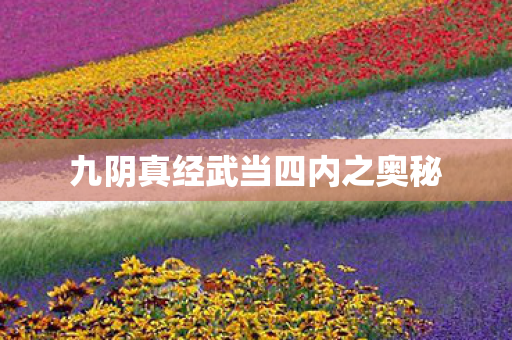 九阴真经武当四内之奥秘 九阴真经武当四内之奥秘