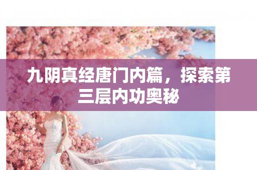 九阴真经唐门内篇,探索第三层内功奥秘 九阴真经唐门内篇,探索第三层内功奥秘
