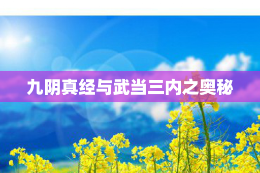 九阴真经与武当三内之奥秘 九阴真经与武当三内之奥秘
