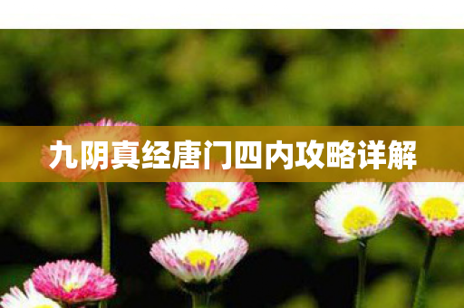 九阴真经唐门四内攻略详解 九阴真经唐门四内攻略详解