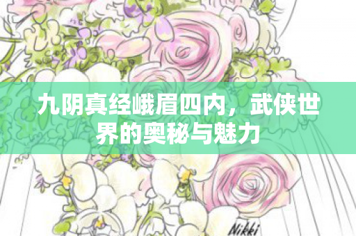 九阴真经峨眉四内，武侠世界的奥秘与魅力