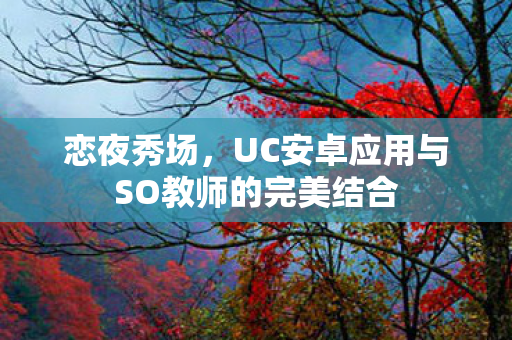恋夜秀场,UC安卓应用与SO教师的完美结合 恋夜秀场,UC安卓应用与SO教师的完美结合