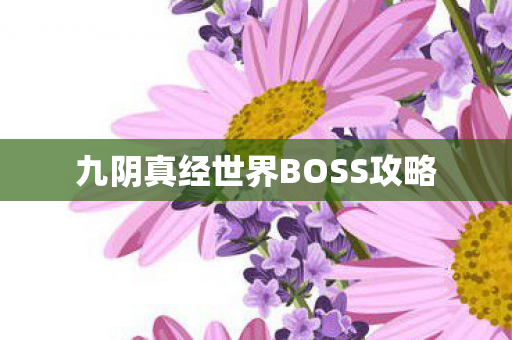 九阴真经世界BOSS攻略