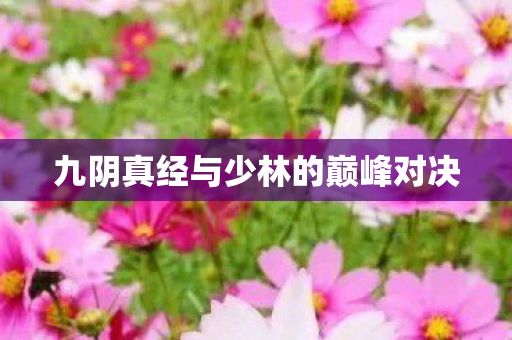 九阴真经与少林的巅峰对决 九阴真经与少林的巅峰对决