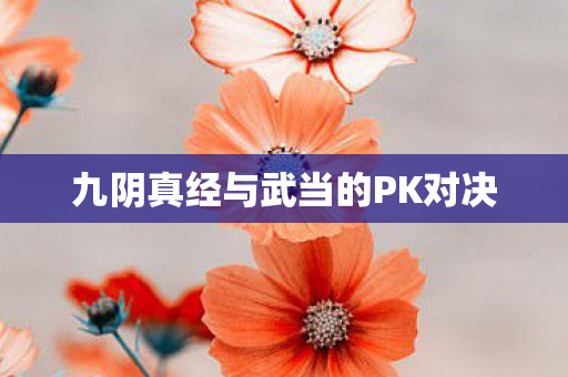 九阴真经与武当的PK对决 九阴真经与武当的PK对决