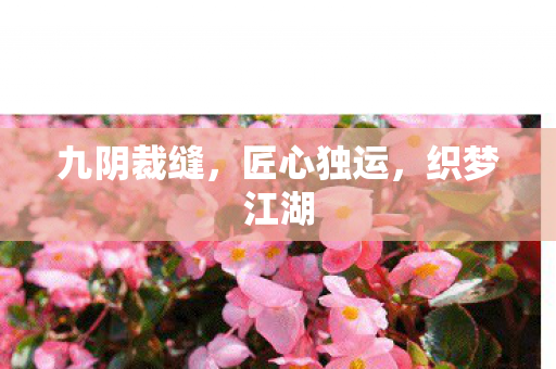 九阴裁缝，匠心独运，织梦江湖