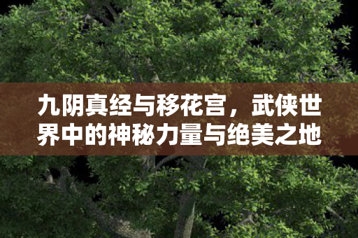 九阴真经与移花宫,武侠世界中的神秘力量与绝美之地 九阴真经与移花宫,武侠世界中的神秘力量与绝美之地