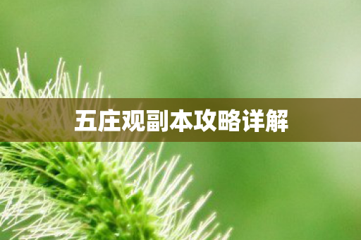五庄观副本攻略详解