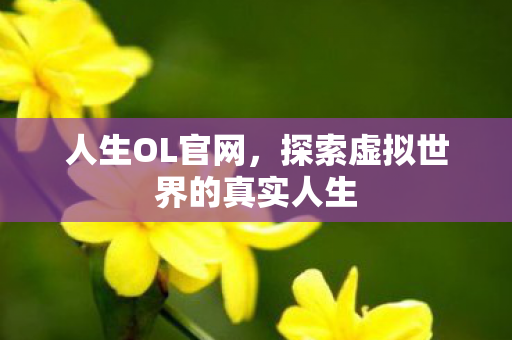 人生OL官网,探索虚拟世界的真实人生 人生OL官网,探索虚拟世界的真实人生