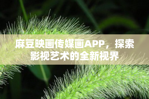 麻豆映画传媒画APP,探索影视艺术的全新视界 麻豆映画传媒画APP,探索影视艺术的全新视界