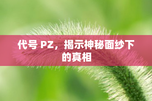 代号 PZ,揭示神秘面纱下的真相 代号 PZ,揭示神秘面纱下的真相