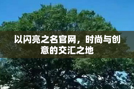 以闪亮之名官网，时尚与创意的交汇之地