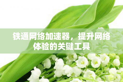 铁通网络加速器，提升网络体验的关键工具