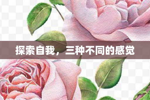 探索自我,三种不同的感觉 探索自我,三种不同的感觉