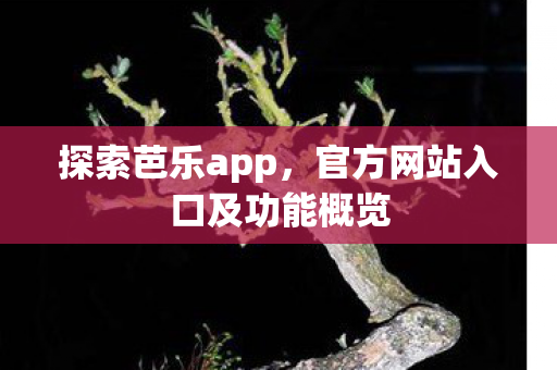 探索芭乐app,官方网站入口及功能概览 探索芭乐app,官方网站入口及功能概览